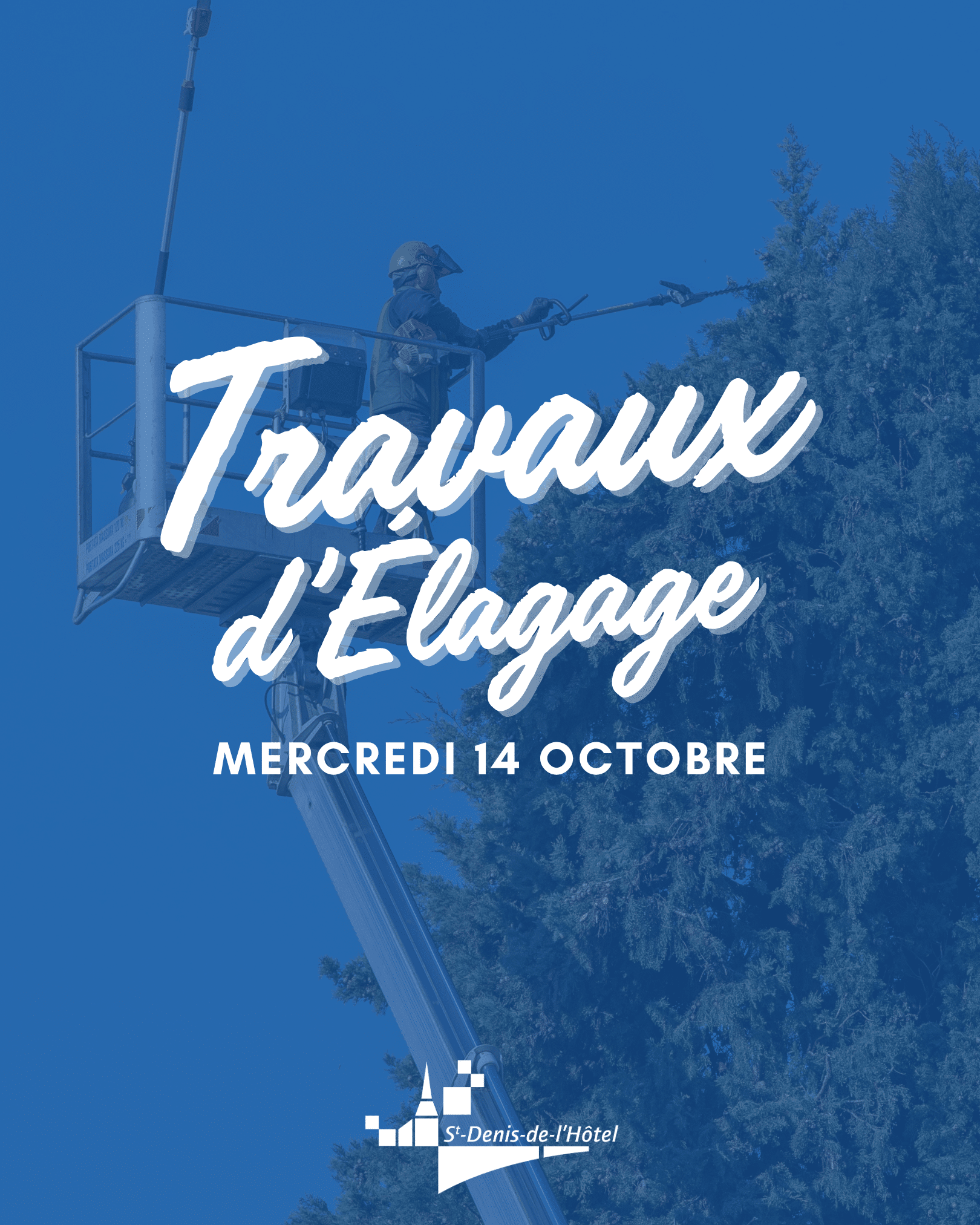 Post travaux d'élagage